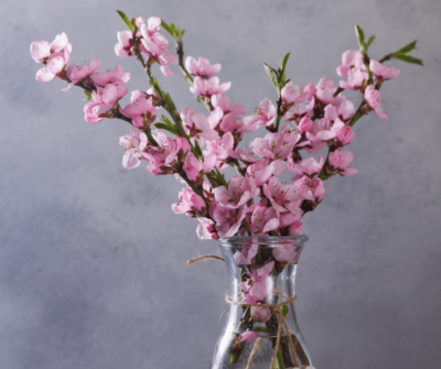 Vase with purple gladiolas